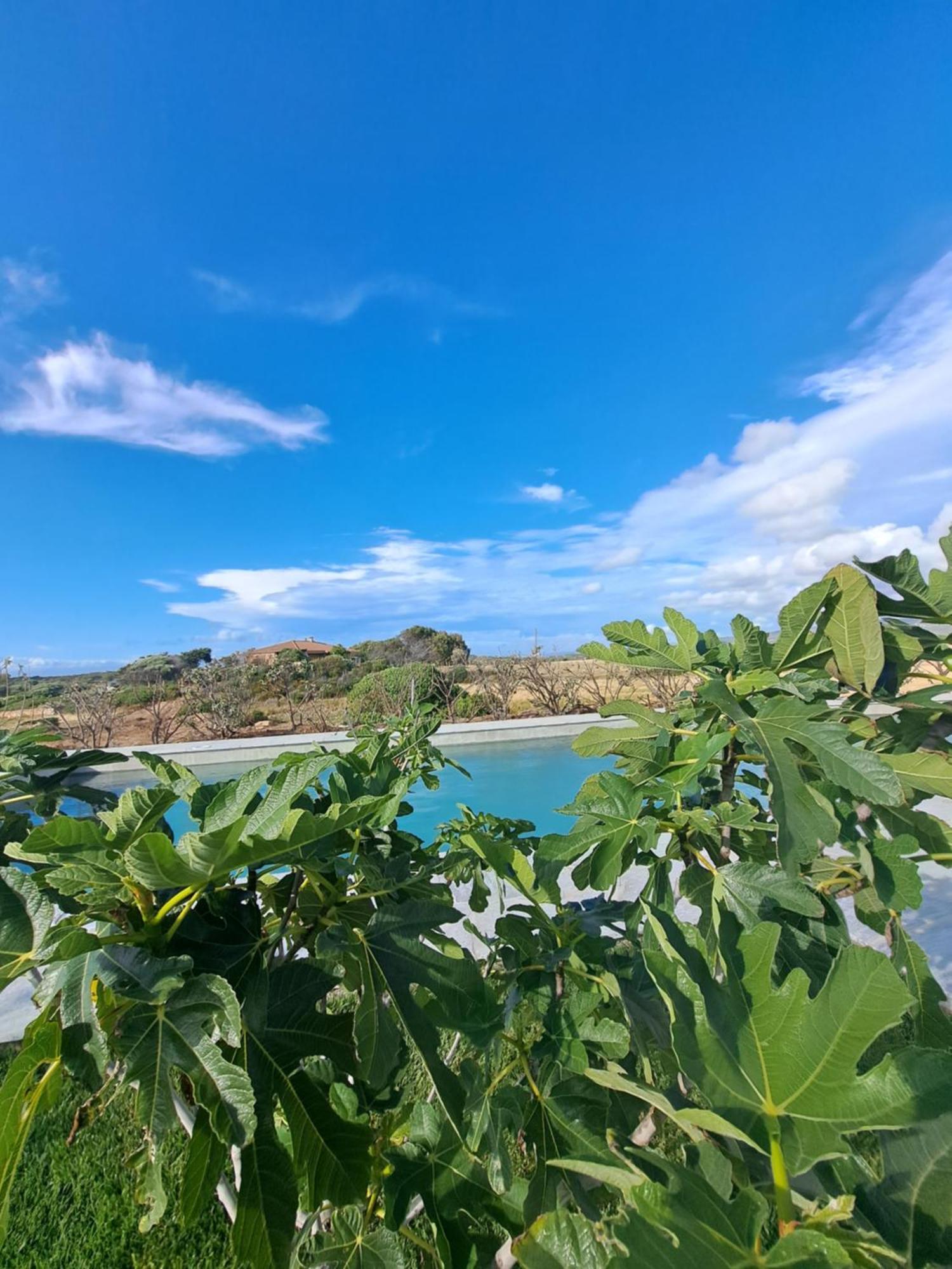 Agriturismo Lu Nodu Greuli Экстерьер фото